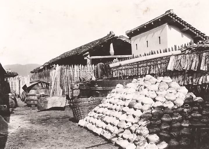 Khung cảnh tại một cơ sở sản xuất nước mắm ở Phước Hải, Vũng Tàu, trước năm 1954.