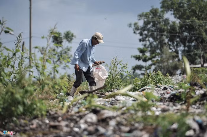 Năm 2015, nhà máy bảo trì lần đầu, dự kiến bảo trì trong 2 tháng, nhưng 6 tháng mới hoàn thành và mượn quỹ đất khoảng 2,5 ha để trữ rác. Tuy nhiên, đến nay phần rác tồn chưa xử lý xong, còn hàng nghìn tấn trong và ngoài khuôn viên nhà máy. Trong ảnh là một người dân sống bằng nghề lượm ve chai ở bãi rác lộ thiên chưa được xử lý của công ty.