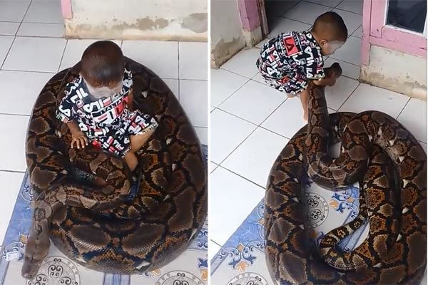 Rung minh canh be trai 