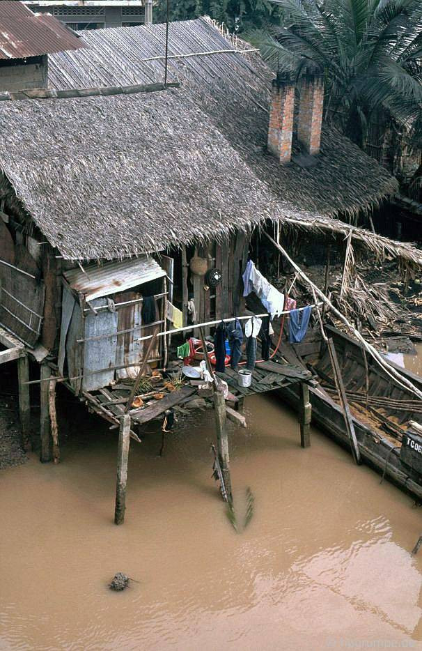 Một ngôi nhà bên sông Tiền nhìn từ trên cao.