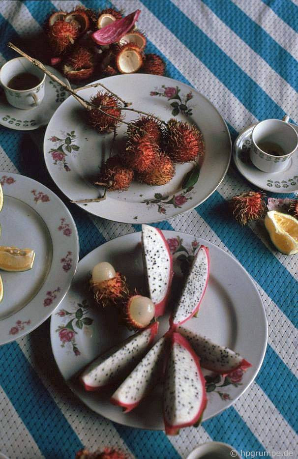 Thưởng thức các loại trái cây trồng trên cù lao: chôm chôm và thanh long.