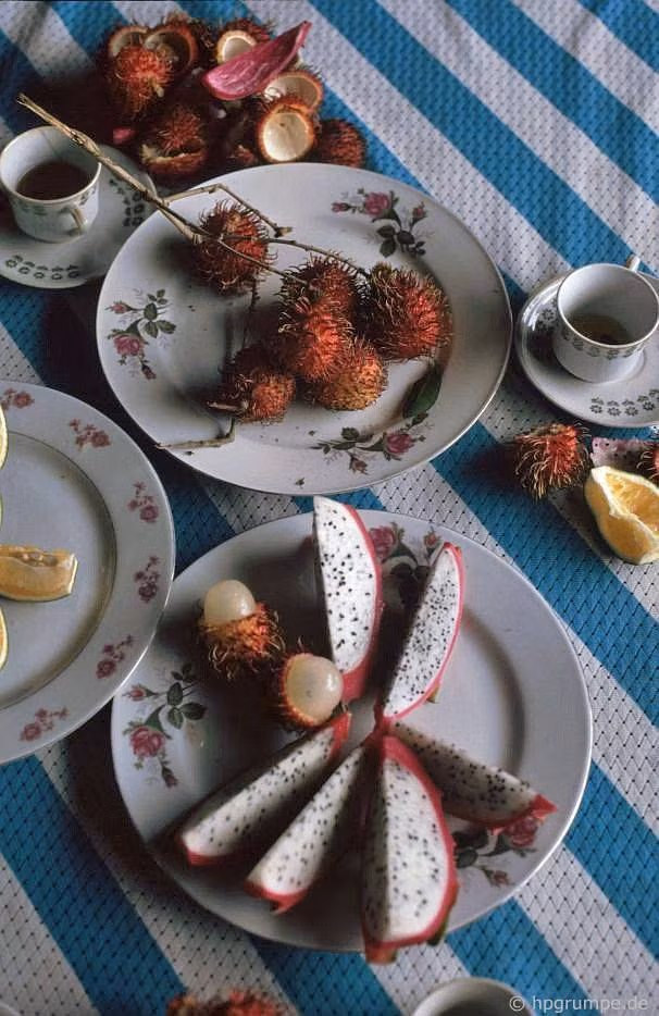 Thưởng thức các loại trái cây trồng trên cù lao: chôm chôm và thanh long.