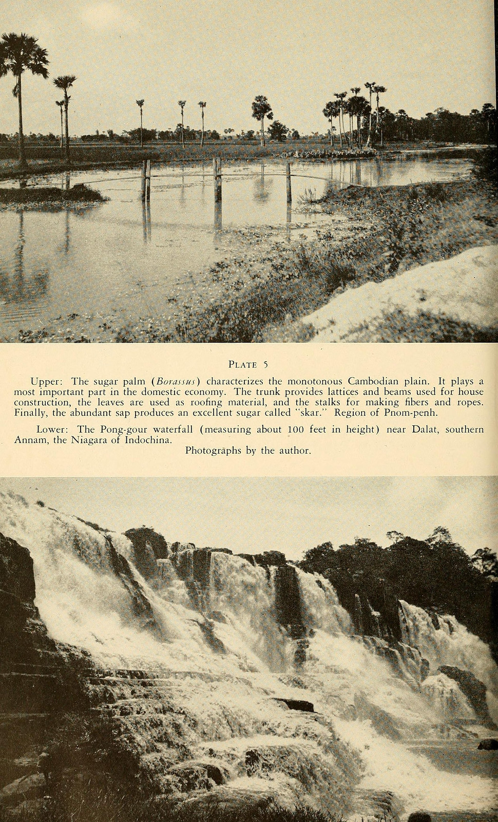 Ảnh trên: Những cây thốt nốt ở khu vực ngoại vi Phnom Penh, Campuchia thời thuộc địa. Ảnh dưới: Thác Pon Gour gần Đà Lạt, được mệnh danh là thác Niagra ở Đông Dương.