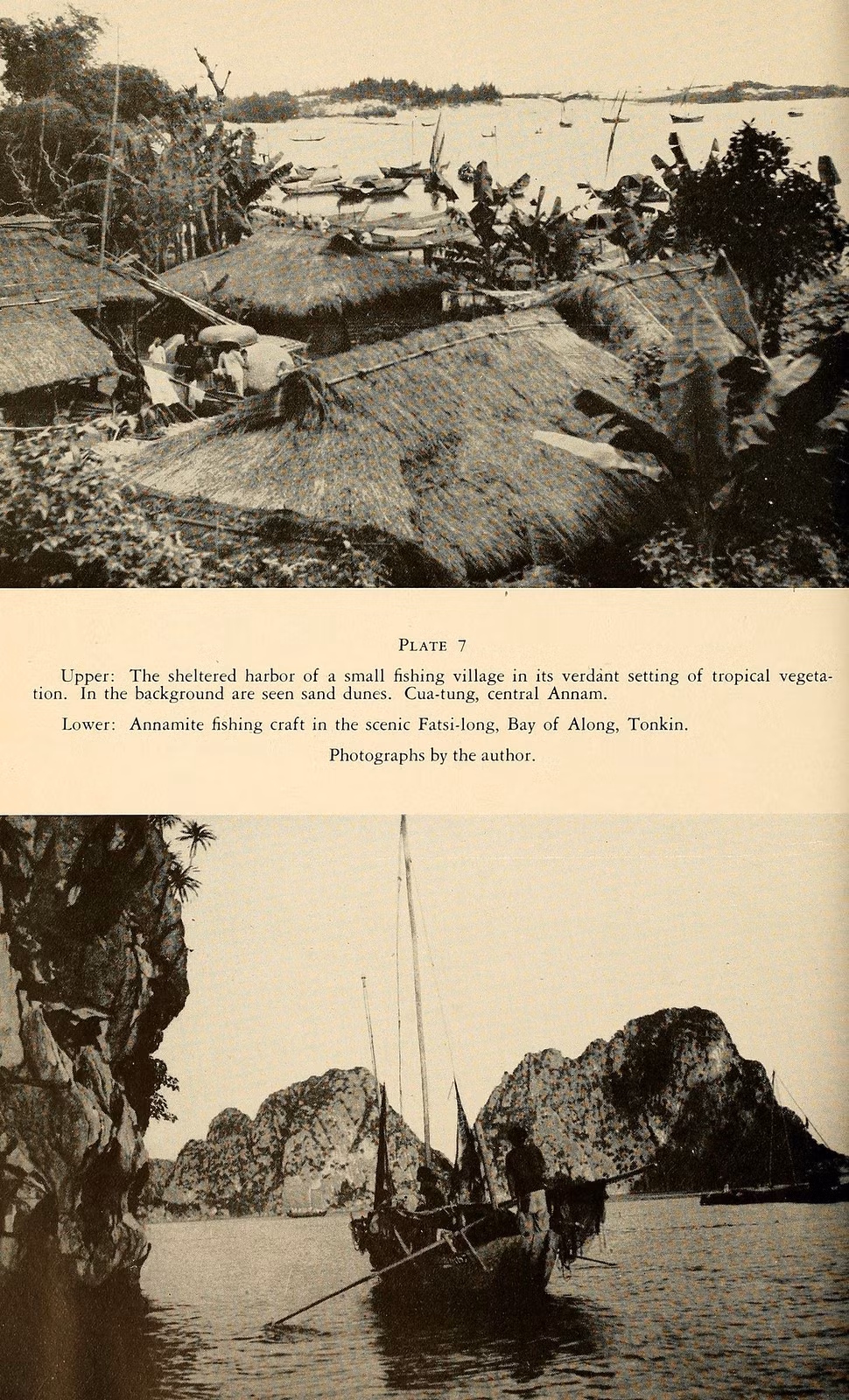 Ảnh trên: Làng chài ở Cửa Tùng, Quảng Trị. Ảnh dưới: Thuyền đánh cá ở Vịnh Hạ Long, Quảng Ninh.