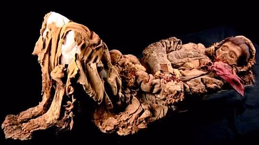 Các nhà khoa học khẳng định những con người này không có mối quan hệ về nhân chủng với người Hán. Nhưng việc họ đến từ đâu vẫn là một ẩn số.