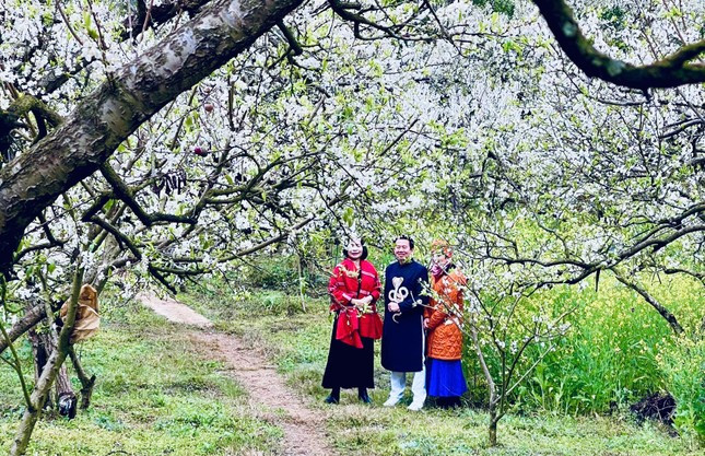 "Tôi từng đến Mộc Châu mùa hoa mận vào những năm trước nhưng hoa nở không rộ như năm nay. Những cành mận bung nở trắng xóa như tuyết trong thung lũng mận Nà Ka khiến gia đình tôi và nhóm bạn đều mê mệt, bõ công lặn lội đường xa mưa rét lên đây", chị Nguyễn Hà du khách đến từ Hà Nội chia sẻ.