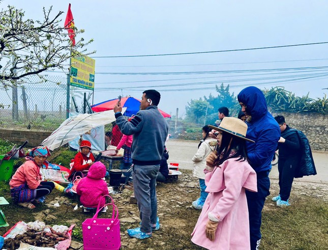 "Du khách nếu muốn chiêm ngưỡng mùa hoa mận rực rỡ cần lên kế hoạch tới Mộc Châu sớm. Tốt nhất là không nên đi vào cuối tuần để tránh tắc đường, đông người", anh Tiểu Bảo, chủ nhà vườn mận ở Mộc Châu cho biết.