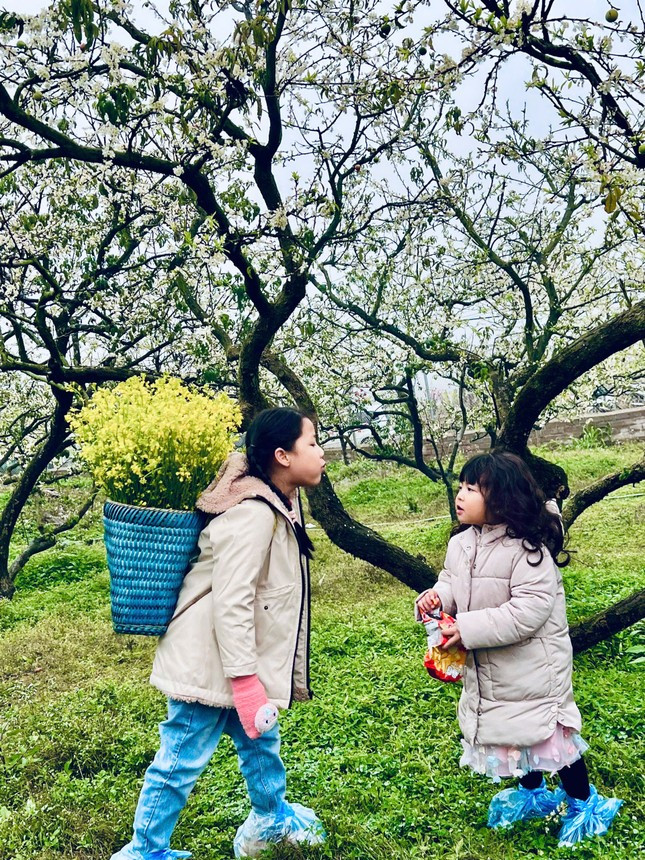 Các dịch vụ cho thuê trang phục dân tộc, gùi đựng hoa cũng được các chủ vườn chuẩn bị đầy đủ cho nhu cầu của khách hàng.