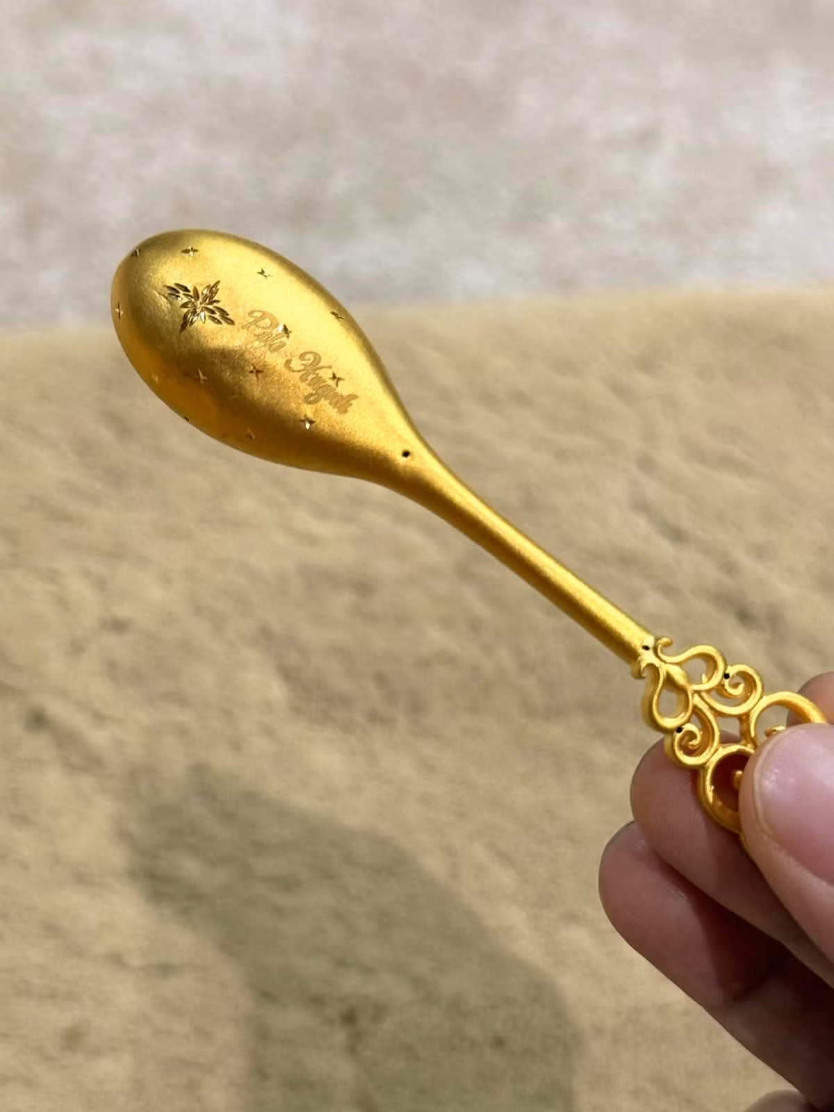 Xon xao bat, dua vang khac ten Dam Vinh Hung-Hinh-3