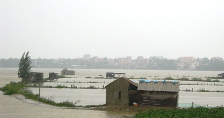 Nhiều đồng nuôi tôm của các hộ dân bị nước lũ xóa trắng.