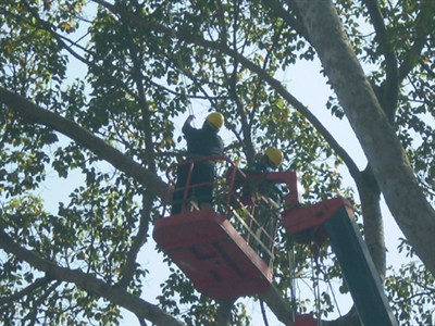 Người lao động trong 4 doanh nghiệp công ích làm việc trong điều kiện nguy hiểm, độc hại nhưng thu nhập thấp hơn hàng chục lần so với viên chức quản lý.