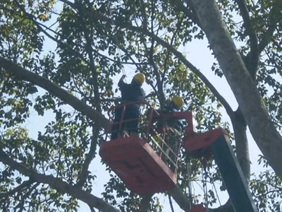 Người lao động trong 4 doanh nghiệp công ích làm việc trong điều kiện nguy hiểm, độc hại nhưng thu nhập thấp hơn hàng chục lần so với viên chức quản lý.