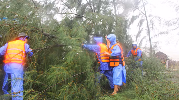 Bộ đội biên phòng tỉnh Thừa Thiên Huế đang dọn dẹp cây đổ, gãy để giải phóng đường quốc lộ 49.