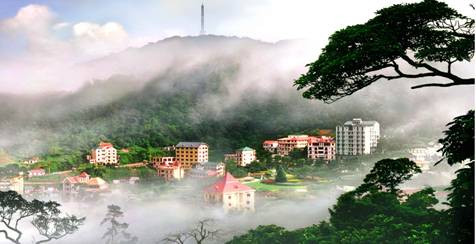 Tam Đảo, một trong những khu du lịch nổi tiếng của miền Bắc.