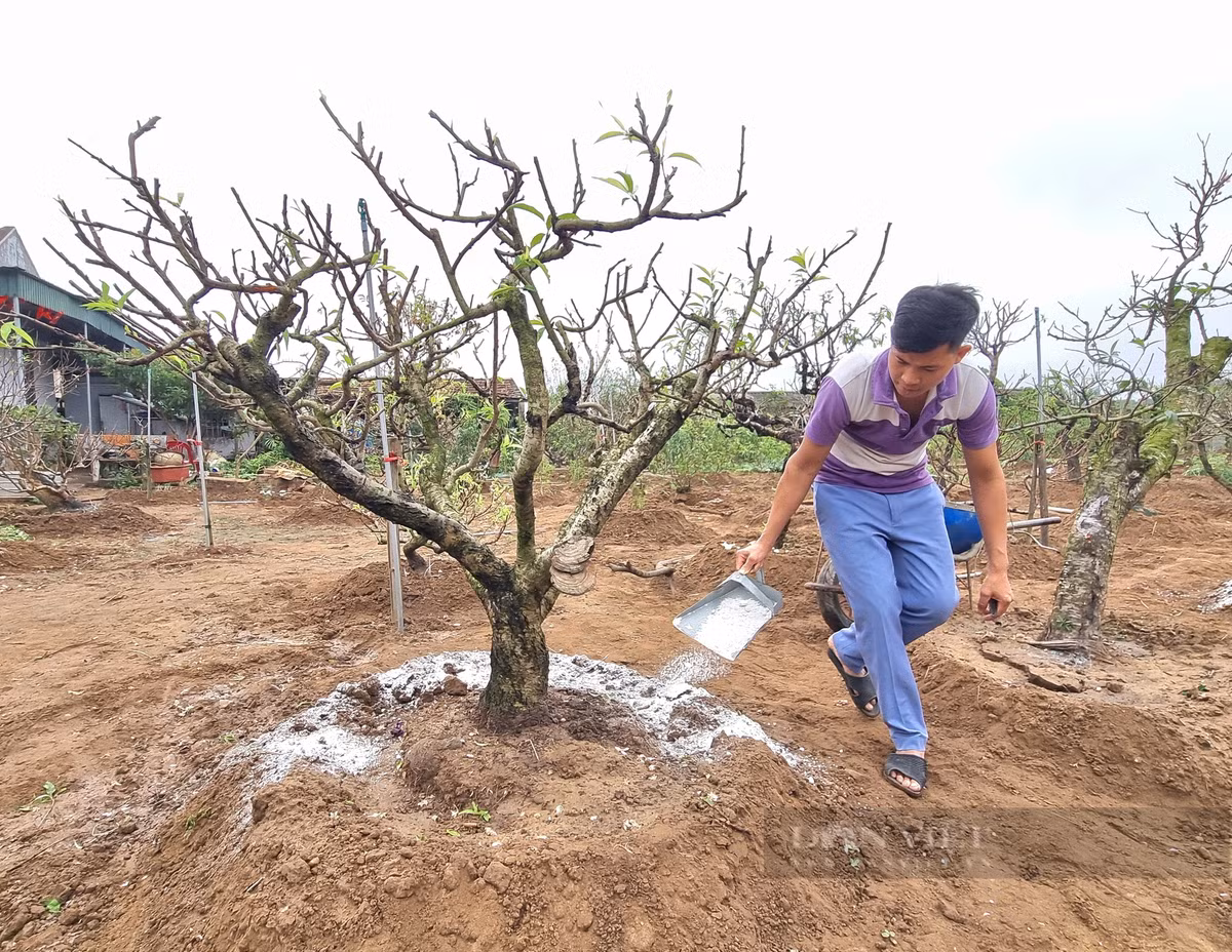 9X tiet lo bi quyet cham dao phai ra hoa dep me man-Hinh-5