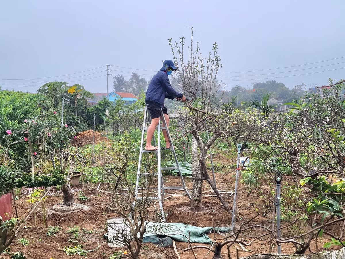 9X tiet lo bi quyet cham dao phai ra hoa dep me man-Hinh-3