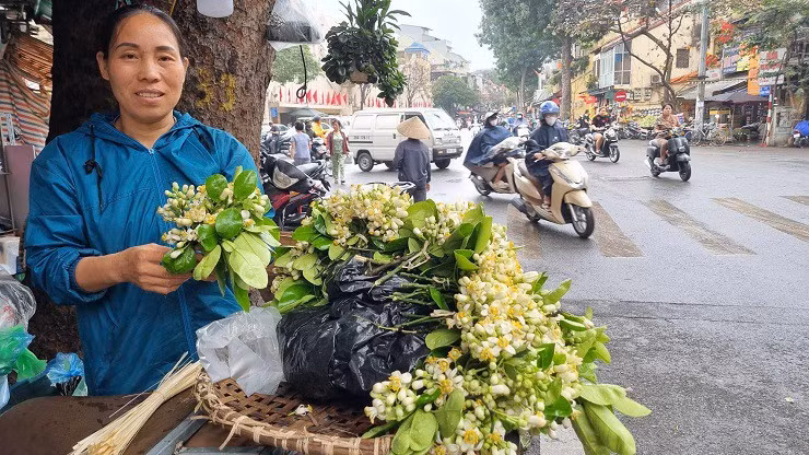 Hoa buoi duoc gia, nhieu chu vuon bo tui tien trieu moi ngay