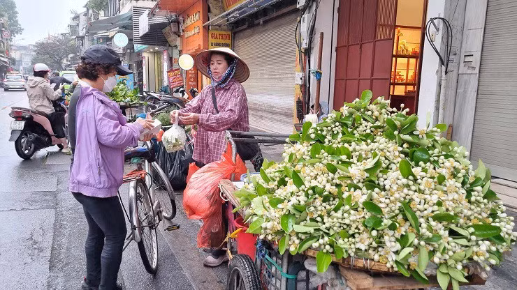 Hoa buoi duoc gia, nhieu chu vuon bo tui tien trieu moi ngay-Hinh-3