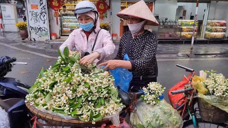 Hoa buoi duoc gia, nhieu chu vuon bo tui tien trieu moi ngay-Hinh-6