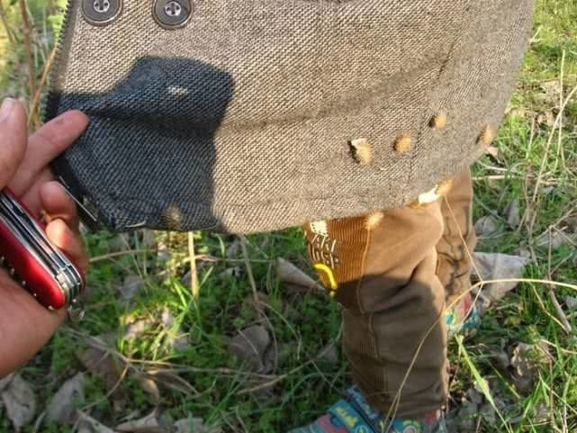 Loại quả dại là thảo mộc quý không tưởng, giá 1.7 triệu/kg Loai qua dai la thao moc quy khong tuong, gia 1.7 trieu/kg