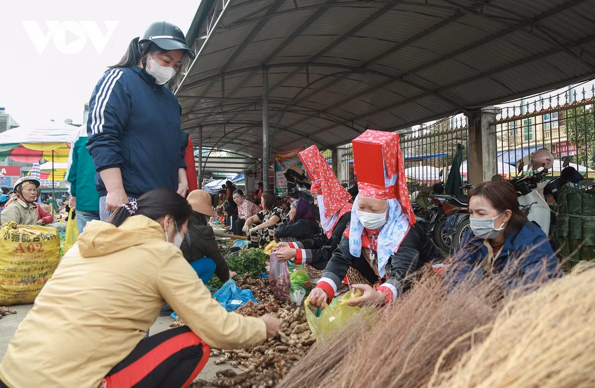 Các loại nông lâm sản có giá rất dễ chịu. Quầy hàng của các cô gái Dao Thanh Phán bày bán gừng núi với giá 15- 20.000 đồng/kg