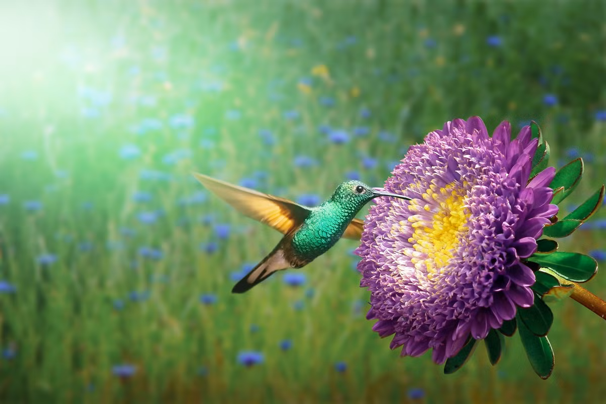 Thang 2, bon con giap duoc ban phuoc lanh, gap dieu cat tuong-Hinh-4