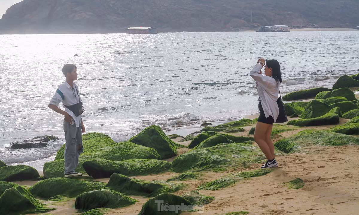 Người dân, du khách tranh thủ lúc trời vừa sáng, nắng đẹp check-in bên bãi đá rêu xanh.