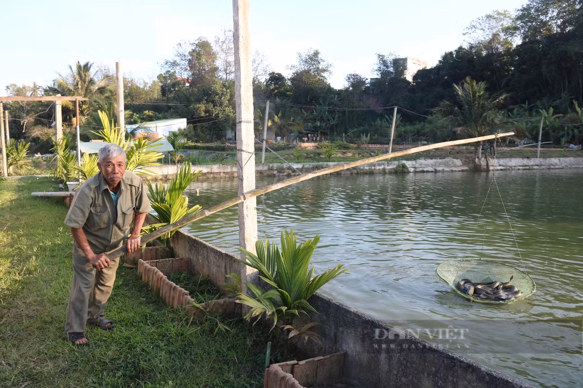 Nuoi 2 loai ca dac san, mot nong dan Kon Tum giau len