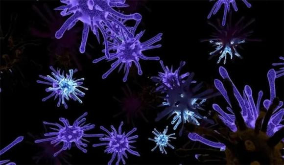 Bi an ve vi khuan lon nhat lich su, dai toi 2 cm-Hinh-4