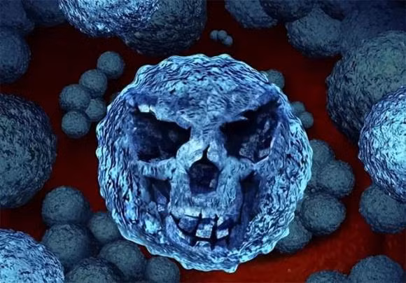 Bi an ve vi khuan lon nhat lich su, dai toi 2 cm-Hinh-3