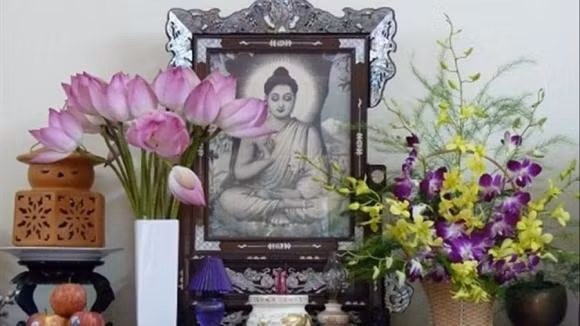 5 loai hoa rat hop de cung ong Tao, 2 loai nen tranh-Hinh-3