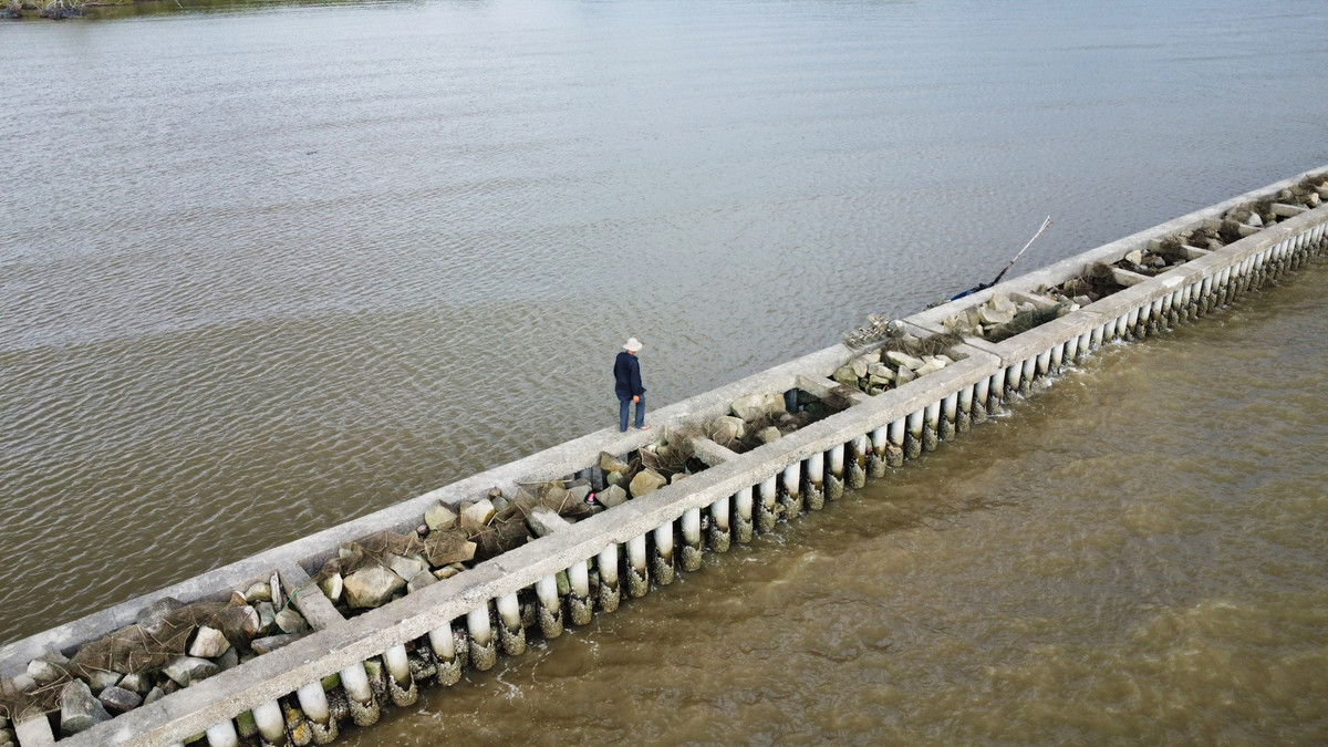 Đê biển Tây thích hợp cho cua đá trú ngụ và sinh sống.