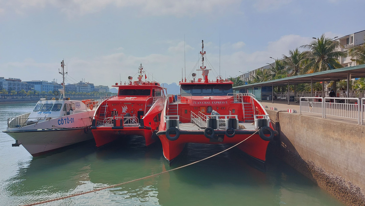 Thông tin từ Công ty cổ phần đầu tư Havaco: gồm 1 tàu Tuần Châu Express 5 sao và 1 tàu công vụ sẽ chở hơn 300 người về đảo Cô Tô ăn Tết.