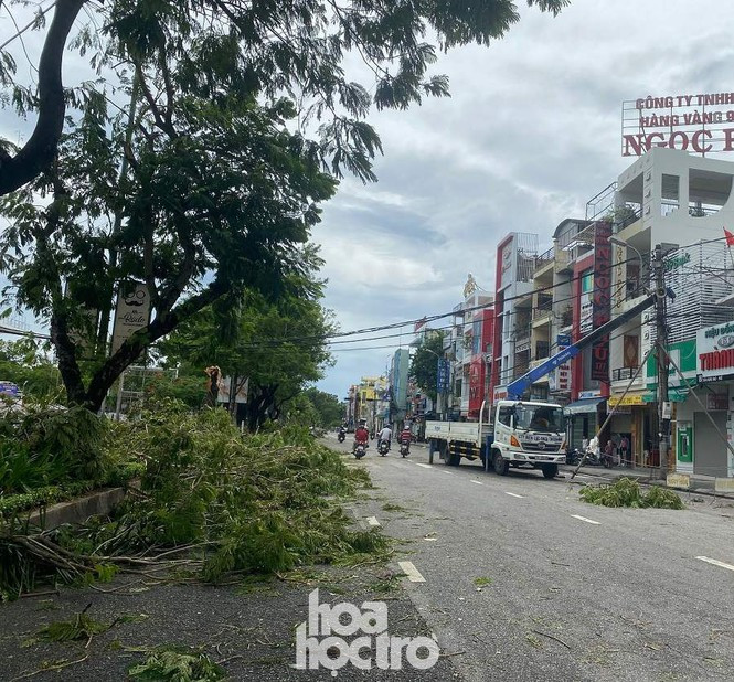 Xot xa “cay Mat Biec” tro trui sau bao so 5, khap thanh pho Hue ngon ngang cay do-Hinh-17