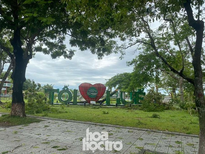 Xot xa “cay Mat Biec” tro trui sau bao so 5, khap thanh pho Hue ngon ngang cay do-Hinh-10