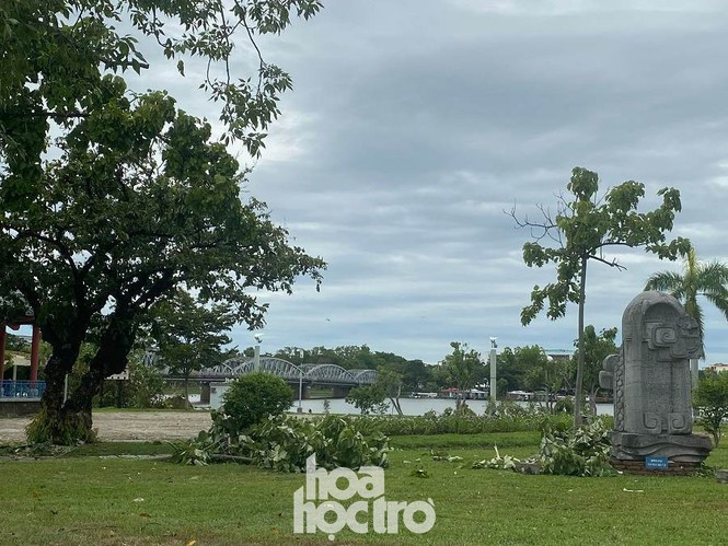 Xot xa “cay Mat Biec” tro trui sau bao so 5, khap thanh pho Hue ngon ngang cay do-Hinh-11