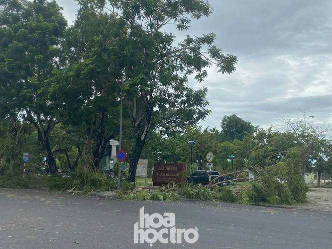 Xot xa “cay Mat Biec” tro trui sau bao so 5, khap thanh pho Hue ngon ngang cay do-Hinh-8