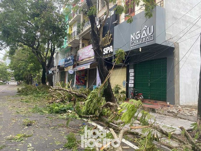 Xot xa “cay Mat Biec” tro trui sau bao so 5, khap thanh pho Hue ngon ngang cay do-Hinh-4