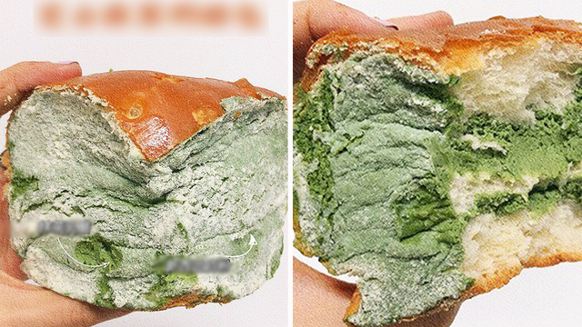 Món đồ hết hạn. Các món đồ hết bạn không chỉ khiến nhà cửa chật chội, mất thẩm mỹ mà còn có thể ảnh hưởng đến phong thủy tài lộc của gia đình bạn.