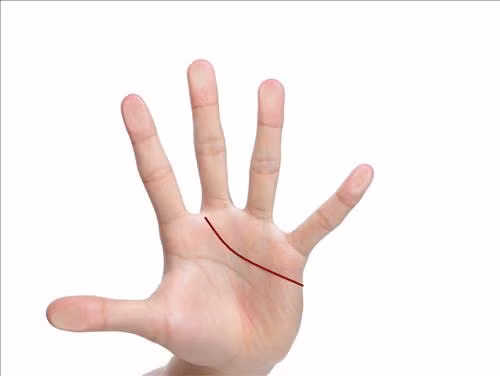 Duong chi tay Tinh duyen he lo dieu gi ve tinh cach va tinh cam?-Hinh-4