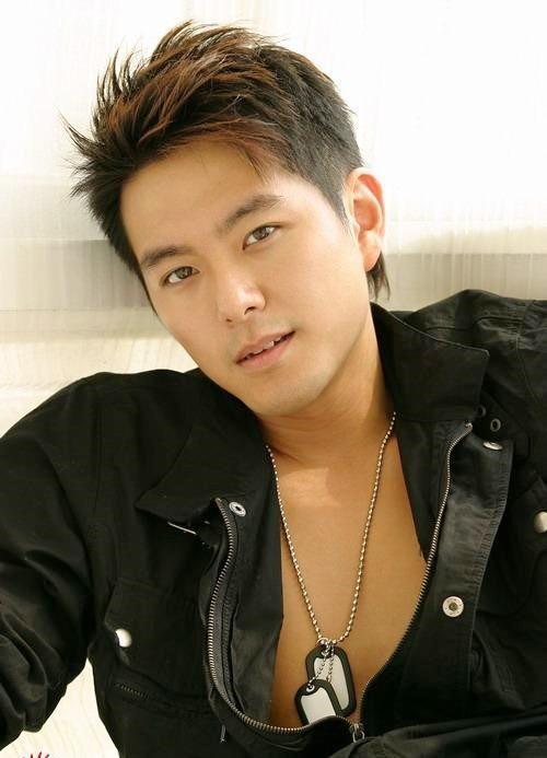 May mắn có ngoại hình cao to, sáng sủa, Tiêu Chính Nam nhận được nhiều hợp đồng chụp quảng cáo. Về sau, anh "lấn sân" sang âm nhạc và đạt nhiều giải thưởng, chiến thắng nhiều cuộc thi ca hát lớn nhỏ. Anh được một người trong ngành giải trí tên Lý Tấn để mắt đến và giúp đỡ phát triển. Tiêu Chính Nam không ngờ rằng trong thời gian ngắn, anh có cơ hội cộng tác với nhiều sao lớn như Châu Tinh Trì, Mai Diễm Phương... Cũng nhờ những cơ hội này, anh được TVB chiêu mộ về làm diễn viên từ năm 2003.