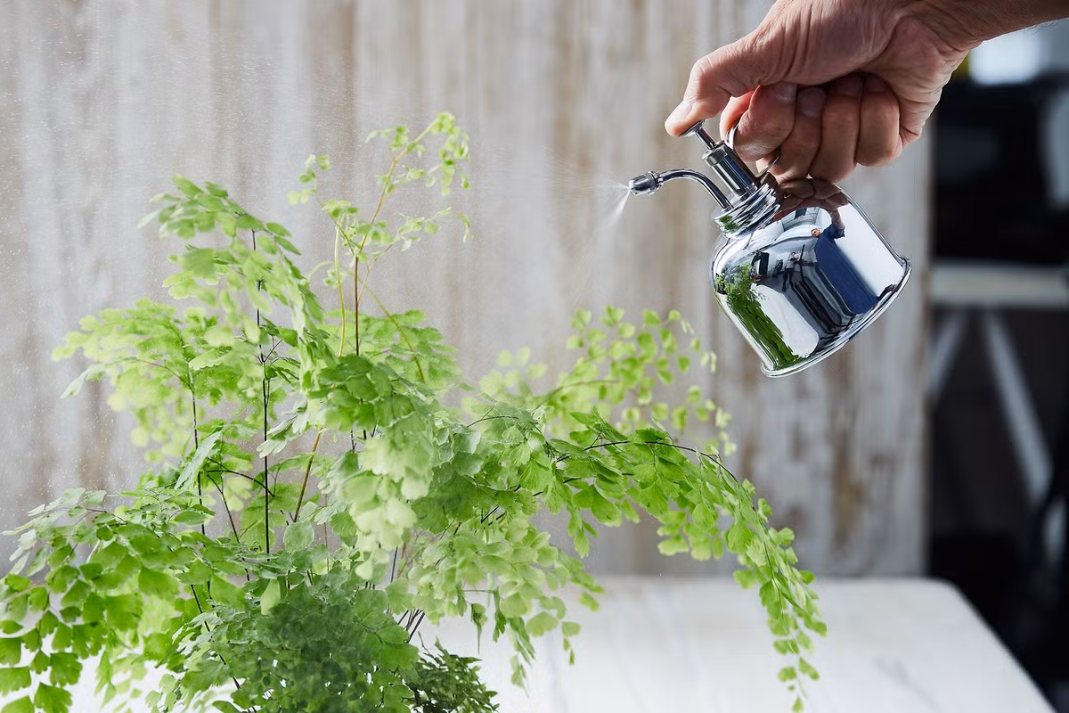 Duong xi toc Than Ve nu: Trong trong nha chieu may man-Hinh-11