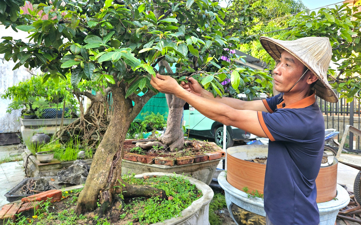 Nuoi thanh cong tac ke, anh nong dan Thai Nguyen lai 300 trieu-Hinh-2