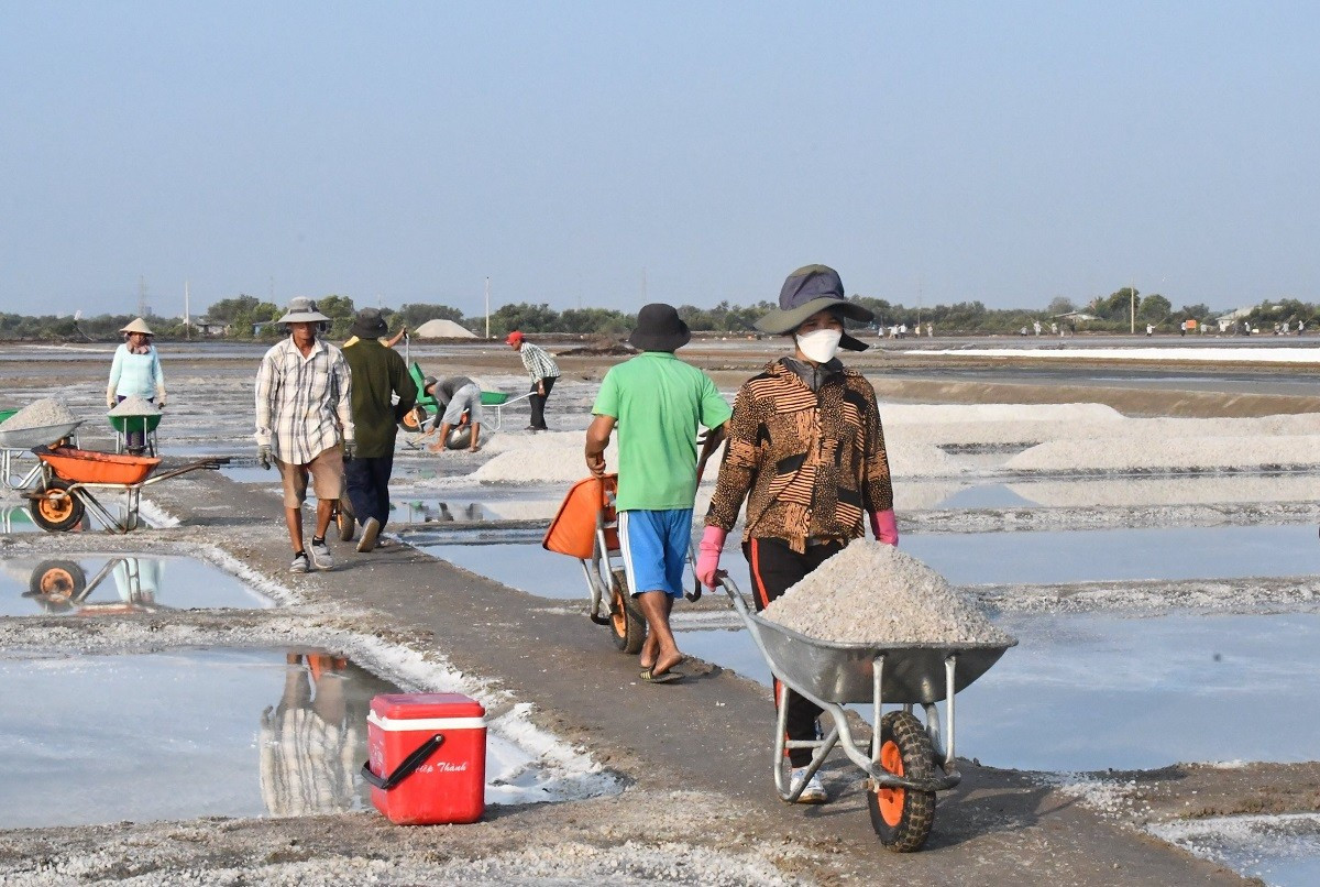 Nhọc nhằn nghề muối, diêm dân Bà Rịa - Vũng Tàu kỳ vọng được giá - Hình 4 Nhoc nhan nghe muoi, diem dan Ba Ria - Vung Tau ky vong duoc gia-Hinh-4