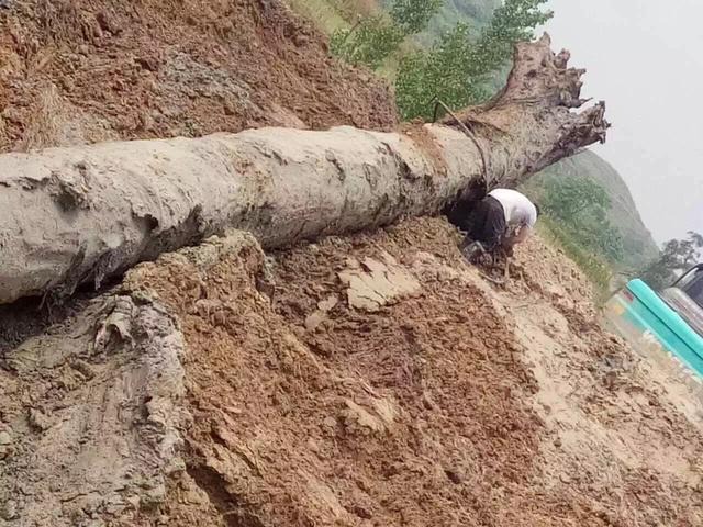 Người đàn ông “khoe” đào được cây gỗ tỏa mùi thơm, cảnh sát lập tức phong tỏa Nguoi dan ong “khoe” dao duoc cay go toa mui thom, canh sat lap tuc phong toa