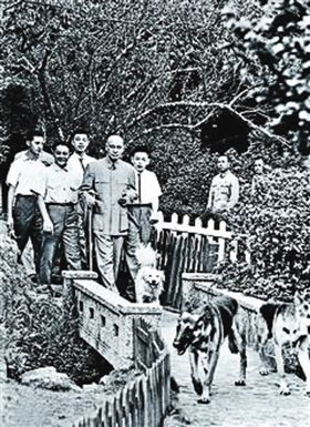 Vệ sỹ Chu Trưởng Thái cho biết, tối ngày mùng 5, Tưởng Kinh Quốc đến thỉnh an Tưởng Giới Thạch, thấy khí sắc của Tưởng Giới Thạch rất tốt, liền về nhà ăn cơm. Vệ sỹ Quách Đôn Phổ kể lại, sau khi ăn cơm, ông dìu Tưởng Giới Thạch lên xe lăn, đi đến vườn hoa ở biệt thự Sĩ Lâm, cuối cùng là đưa Tưởng Giới Thạch lên gác.