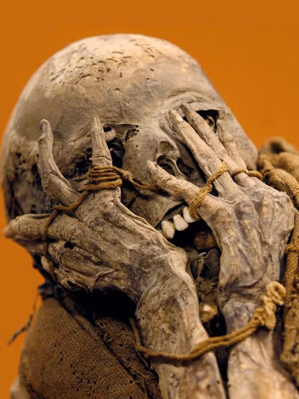 Những chiếc quách được tạo bằng hỗn hợp đất sét,rơm và sỏi rỗng, bên trong chứa xác ướp.