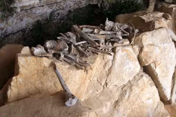 Trên bờ phía tây của sông Utcubamba nhiều chiếc quách với kích thước khác nhau đã được tìm thấy.