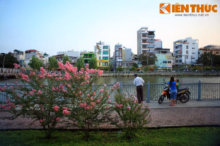 Sắc màu của các loài hoa khác nhau khiến khung cảnh trở nên thật lãng mạn.