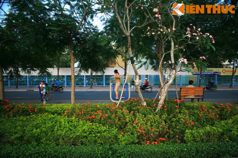 Và tập thể dục thể thao.